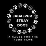 JABALPUR_STRAYDOGS